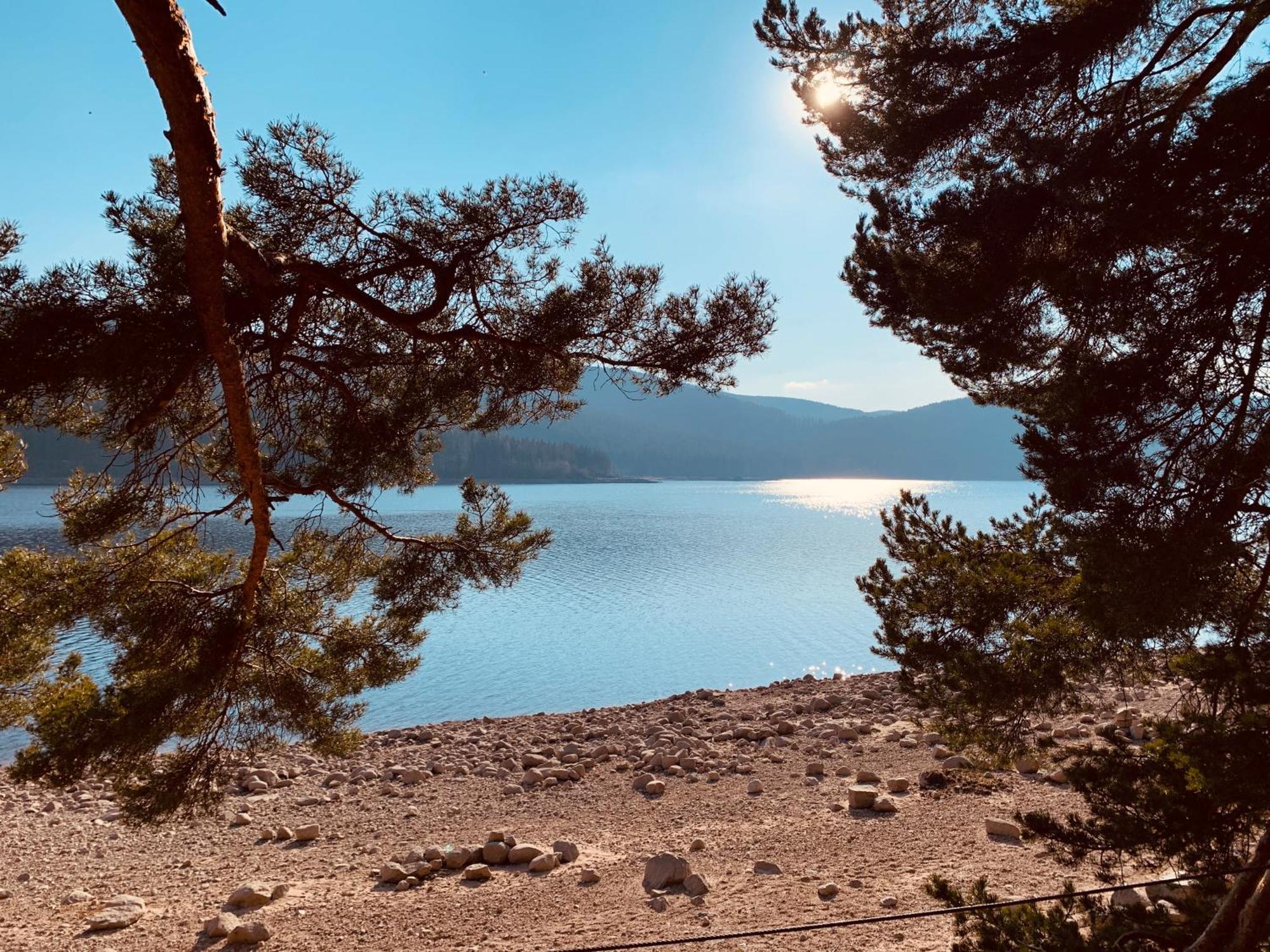 Kurhotel Schluchsee Apartment 2411 Kültér fotó